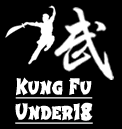 Kungfu